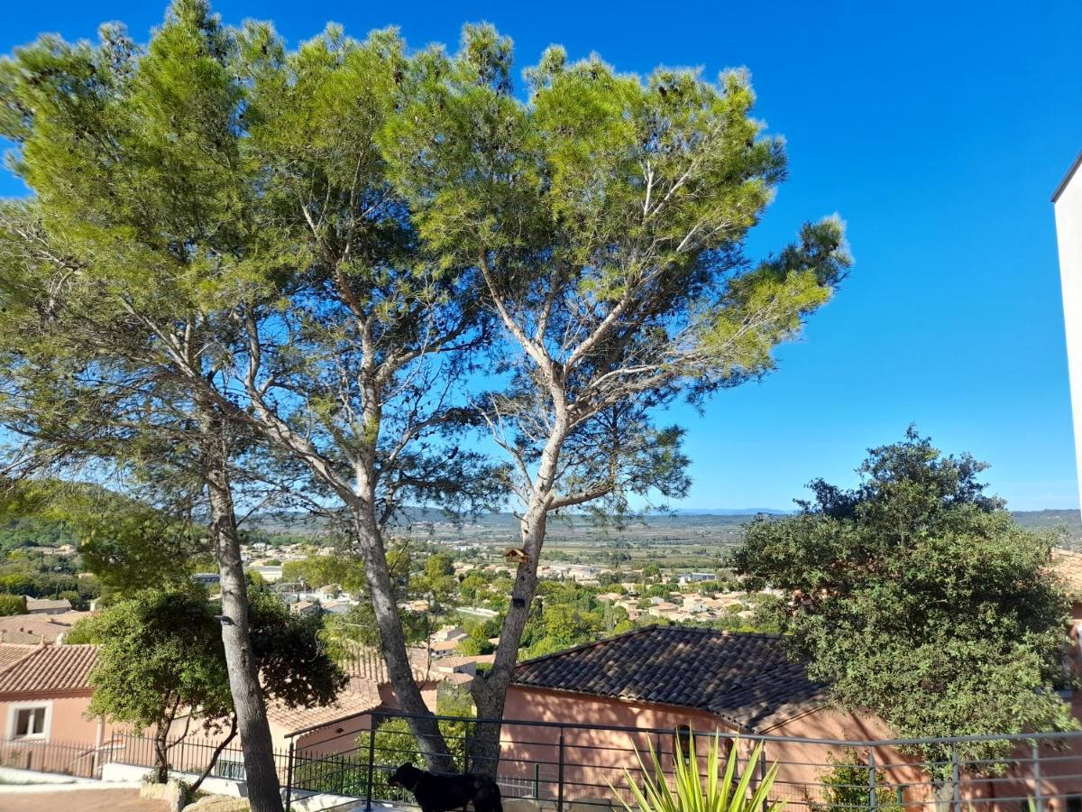 Studio Du Roc Des Garrigues Langlade Εξωτερικό φωτογραφία