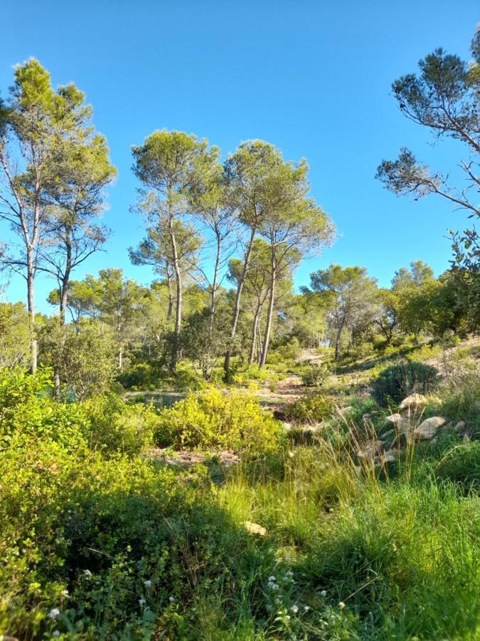 Studio Du Roc Des Garrigues Langlade Εξωτερικό φωτογραφία
